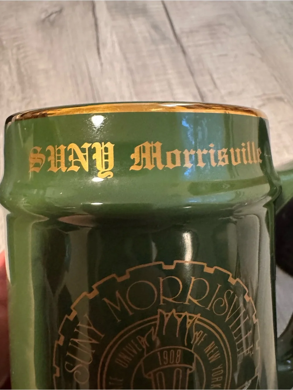 Vtg 90’s SUNY Morrisville Ceramic Large Beer Stein Set College Mugs USA RARE!